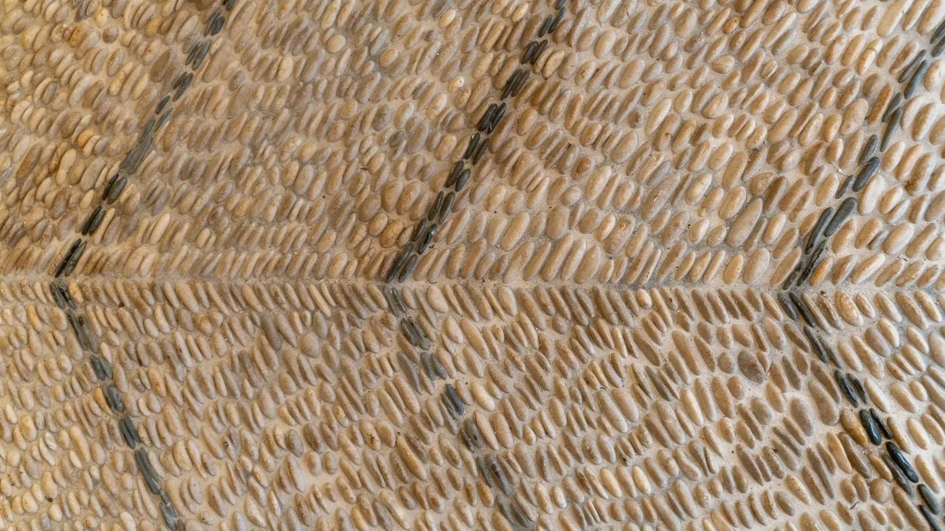 Habitación en casa particular Galera Rooms Sevilla España